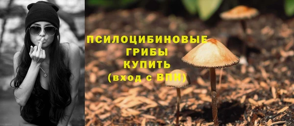 прущие грибы Киреевск