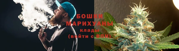 прущие грибы Киреевск