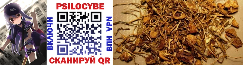 где купить наркотик Новый Уренгой Галлюциногенные грибы MAGIC MUSHROOMS